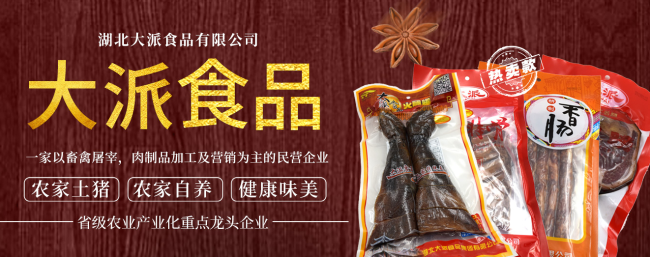 Dapai大派品牌logo与食品包装设计欣赏(图2)