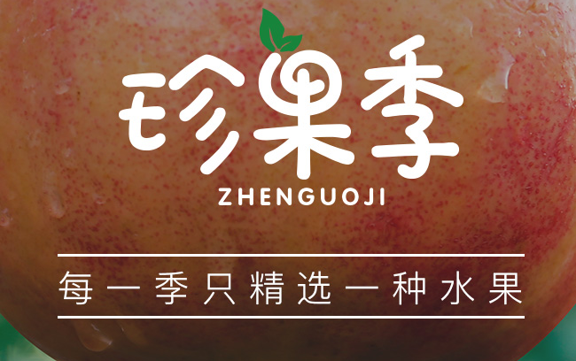 珍果季品牌logo与食品包装设计欣赏(图4)