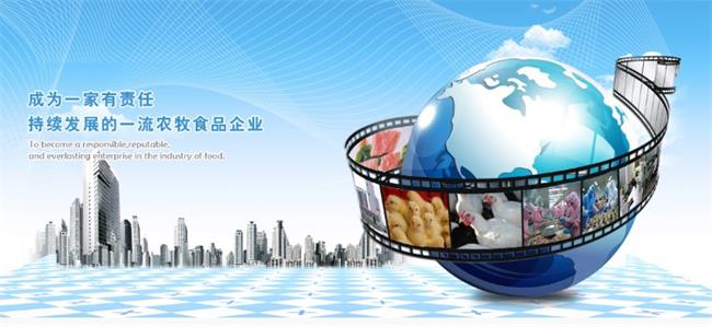 美城品牌logo与食品包装设计欣赏(图2)