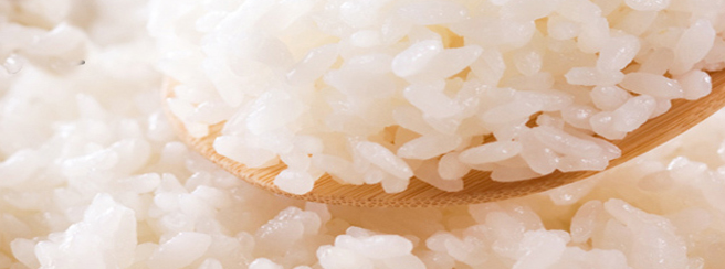 瓦埠湖 瓦埠湖品牌logo与食品包装设计欣赏(图2)