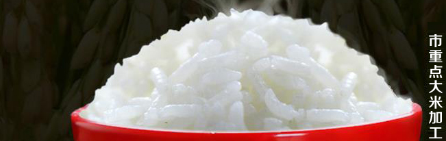 瓦埠湖 瓦埠湖品牌logo与食品包装设计欣赏(图3)