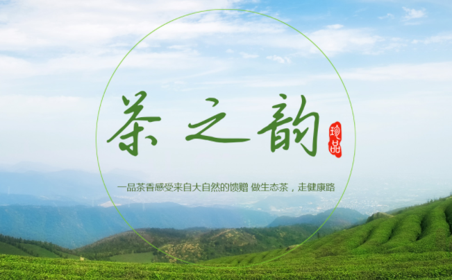 曾老七 曾老七品牌logo与食品包装设计欣赏(图4)