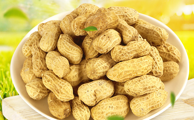 含羞草品牌logo与食品包装设计欣赏(图4)