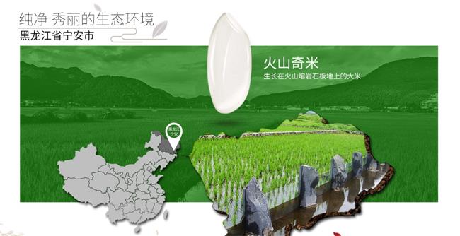 响水大米 响水大米品牌logo与食品包装设计欣赏(图3)