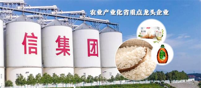 山信品牌logo与食品包装设计欣赏(图4)