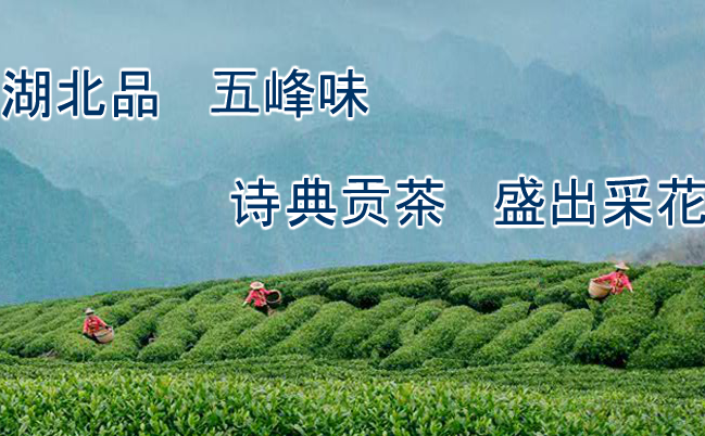 诗典贡茶食品包装设计欣赏(图2)