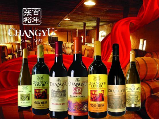 张裕CHANGYU食品包装设计欣赏(图3)