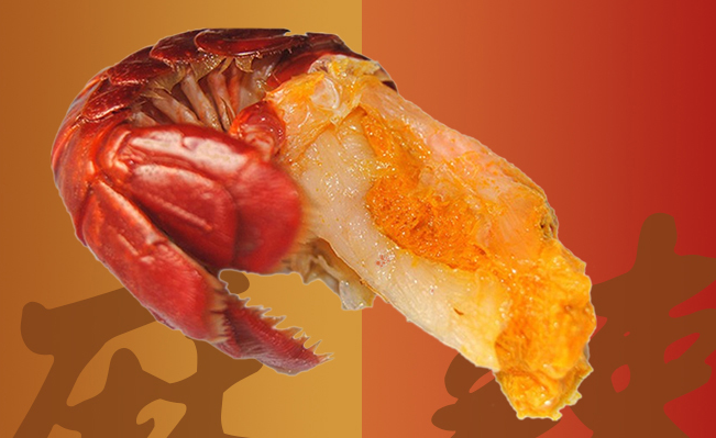 良仁小龙虾 良仁食品包装设计欣赏(图3)