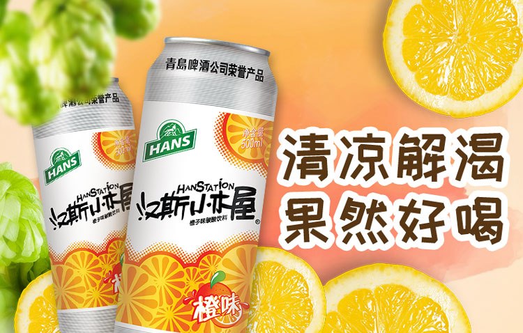 汉斯啤酒HANS食品包装设计欣赏(图2)