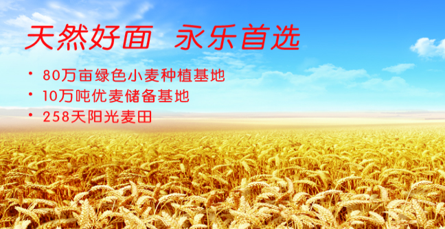 永乐食品包装设计欣赏(图3)