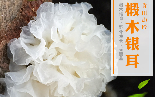 川珍食品包装设计欣赏(图2)