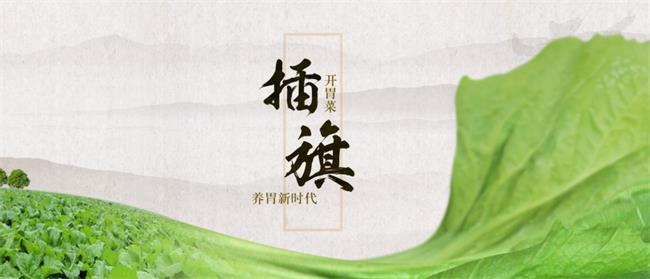 插旗食品包装设计欣赏(图2)