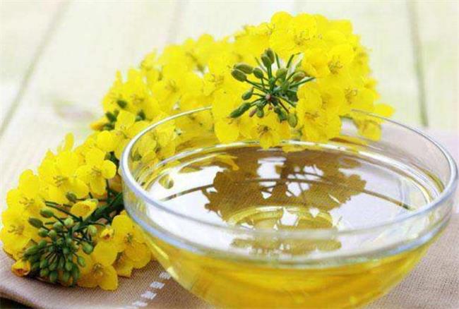 丰顺农业 丰顺农业食品包装设计欣赏(图4)