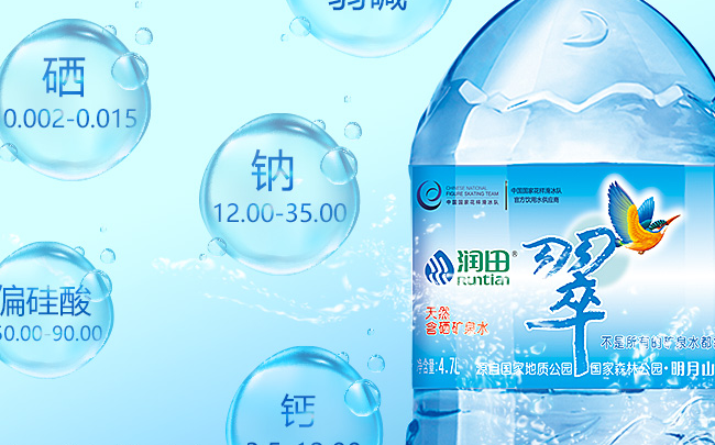 Runtian润田食品包装设计欣赏(图4)