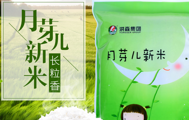 HONGSEN洪森食品包装设计欣赏(图4)