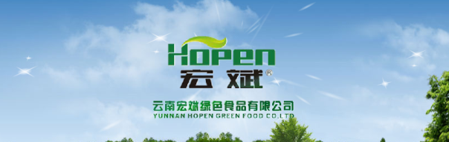 Hopen宏斌食品包装设计欣赏(图2)