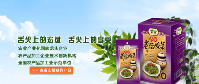 Hopen宏斌食品包装设计欣赏(图4)
