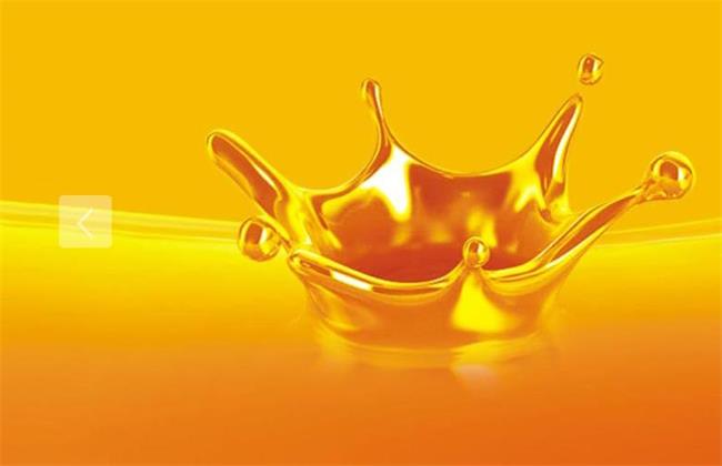 XUNDA训达食品包装设计欣赏(图4)