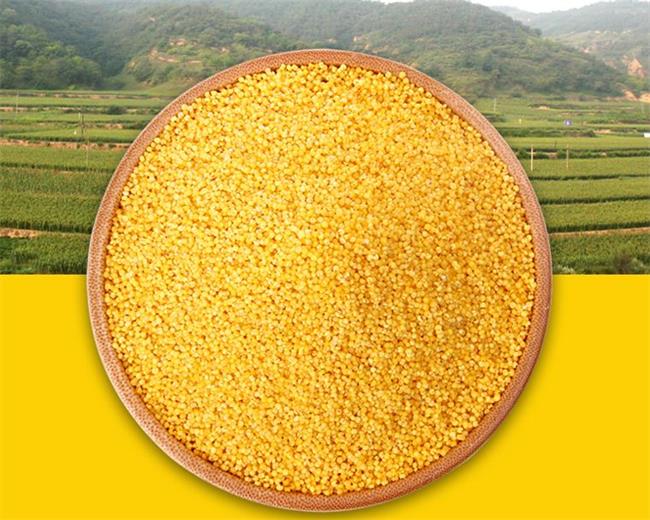 liangjiahe梁家河食品包装设计欣赏(图4)