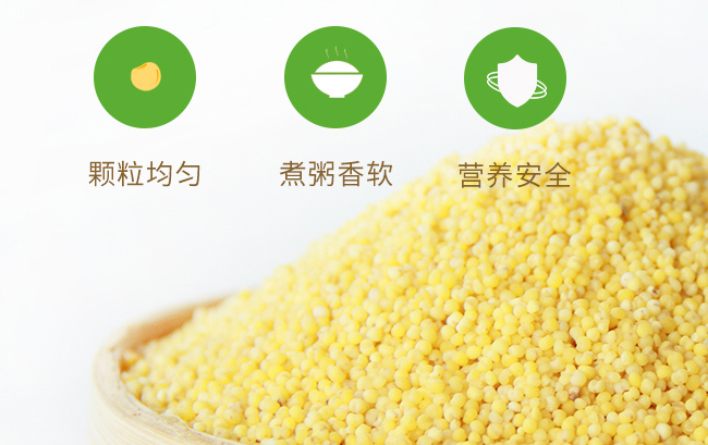 jianbuluo碱不落食品包装设计欣赏(图2)