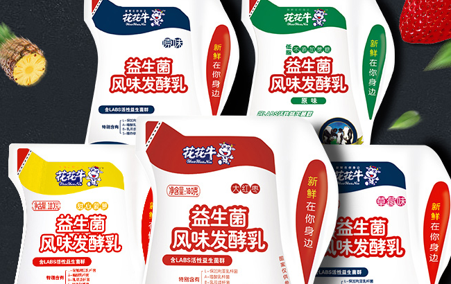 HuaHuaNiu花花牛食品包装设计欣赏(图3)
