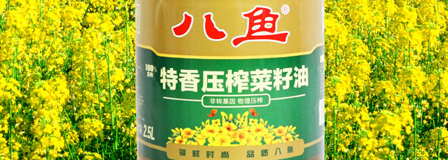 八鱼食品包装设计欣赏(图4)