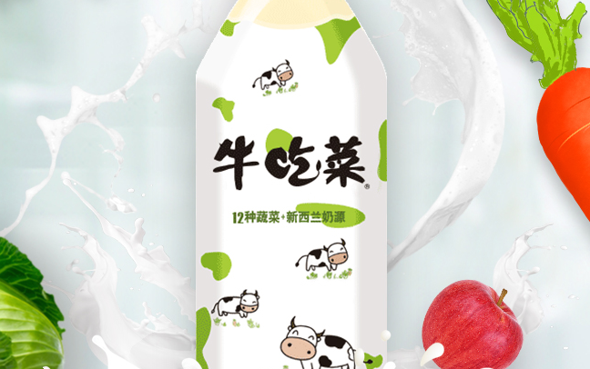 贝奇食品包装设计欣赏(图2)