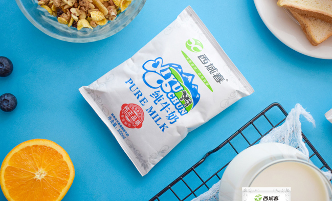 西域春食品包装设计欣赏(图2)