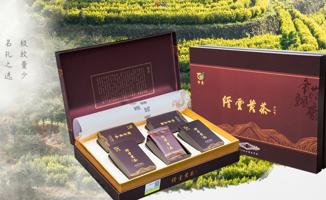 轩黄食品包装设计欣赏(图2)