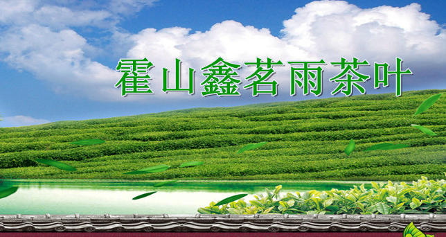 鑫茗雨食品包装设计欣赏(图4)