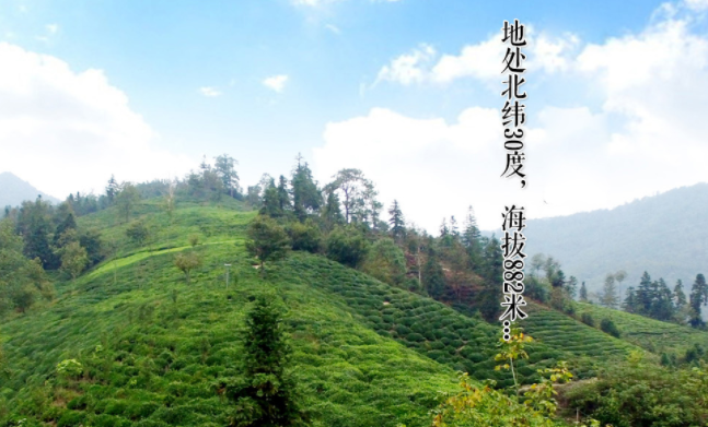 山坞垅食品包装设计欣赏(图4)