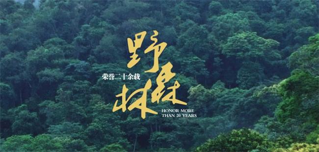 野森林食品包装设计欣赏(图3)