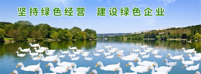 忠意食品食品包装设计欣赏(图2)