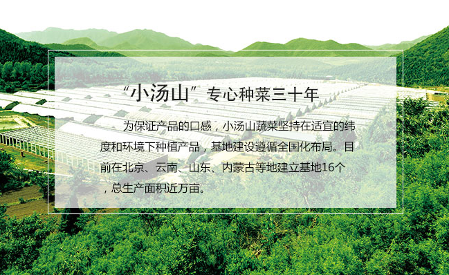 小汤山食品包装设计欣赏(图3)