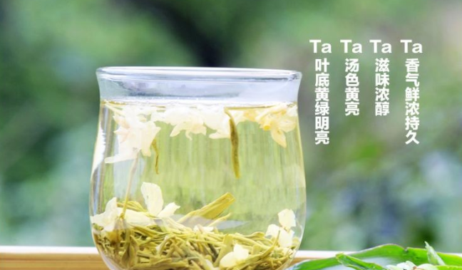 蜀涛食品包装设计欣赏(图2)