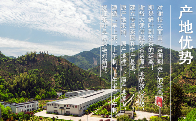 谢正安食品包装设计欣赏(图4)