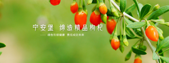 宁安堡食品包装设计欣赏(图3)