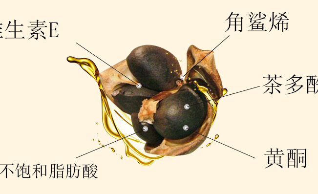 齐云山食品包装设计欣赏(图4)