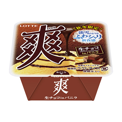 爽生巧克力香草乐天冰淇淋类包装设计(图1)